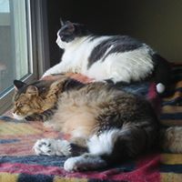 Charlene Van Koevering