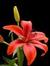 Satish ...
