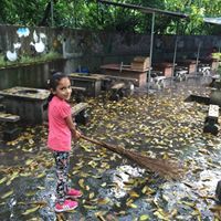 رناد العوضي