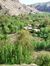 Noor M