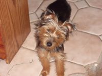 Jackie Christoferson