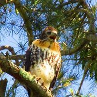 Scott Hnatowicz-Warner