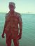 Ahmed B...
