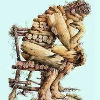 الهشام سيدم