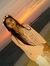 ToOba H...
