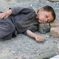 محمد الصالح