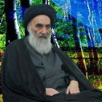 مهند الشرهاني