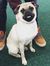 Milly Wonford