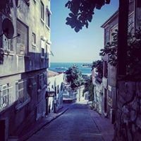 عمار الأندلسي