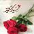 Eshraq Farrag