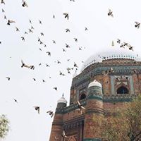 هند عبدالباسط