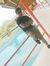 Jayesh ...