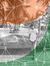Ajay Singh