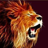 Pradeep Gowda