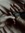 The Bookmarked One