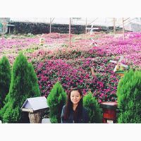 Kok Wee Lin