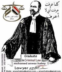 محمد انور حلمى محام