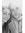 Alan Peat
