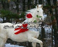 Asjad Abdelgbar