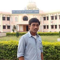 Suresh Yasarla