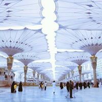 محمود المستيري