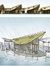 Yu Sing