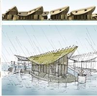 Yu Sing