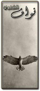 نواف الشمري