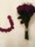 Doua AL...