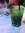 Nounoune | 6 comments