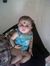 Vinid S...
