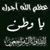 Tabark Ahmed