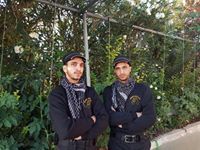 عائد هيموني