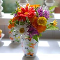 ميساء عبدالله