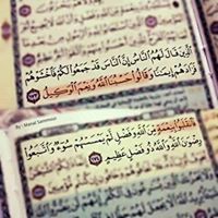 دينا الخطيب