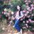 NoUr HaSan