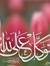 Shymaa ...