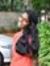 Susmita...