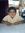 Vasanth...