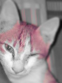 I'Ing Wezz