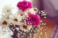 الفقيرة لله