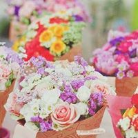 مريم الغيطاني