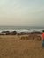 Aditi S...