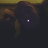 Николай Ангелов