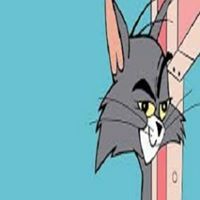 জোবায়ের জিসান