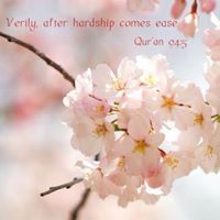 نائلة نائلة