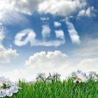 أسامه الصلاحابى