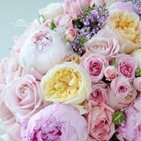 فاطمة رمضان