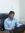 Dilip T...