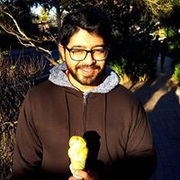 Raj Panda